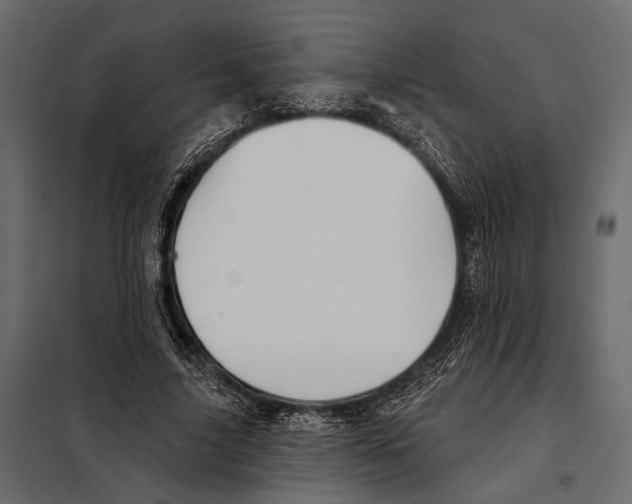 X0000098030635200804251416