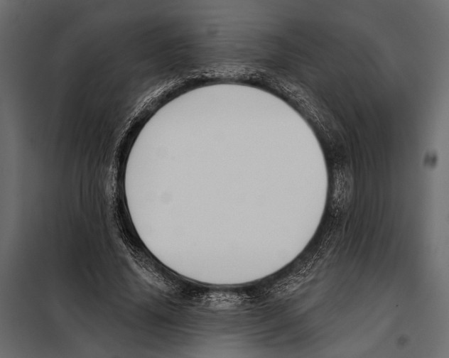 X0000098030636200804251416