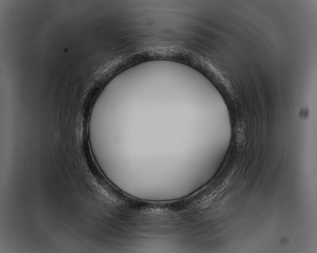 X0000098030637200804251416