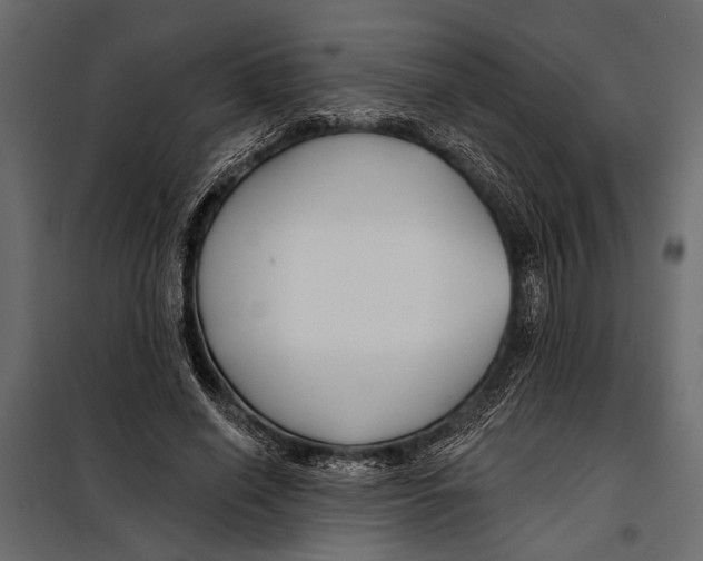 X0000098030638200804251416