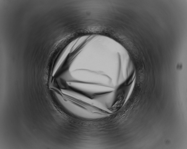 X0000098030640200804251416