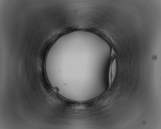 X0000098030643200804251416