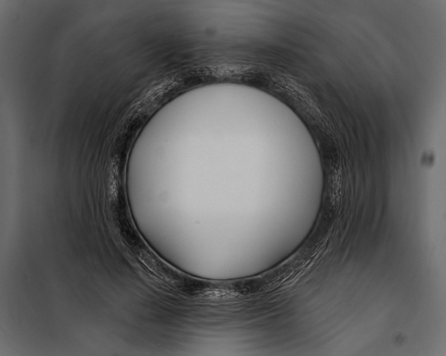 X0000098030644200804251416