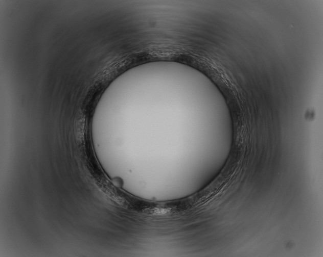 X0000098030647200804251416