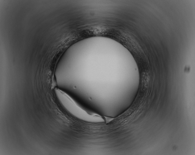 X0000098030650200804251416