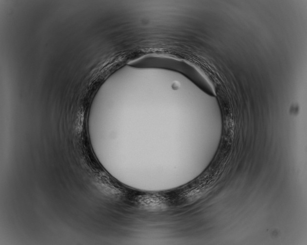 X0000098030652200804251416