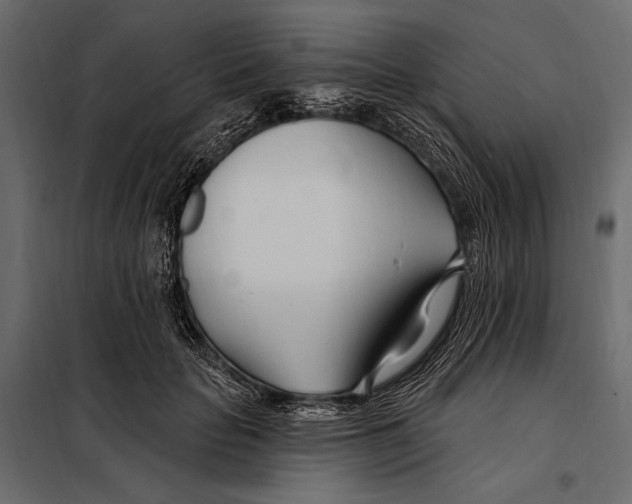 X0000098030653200804251416