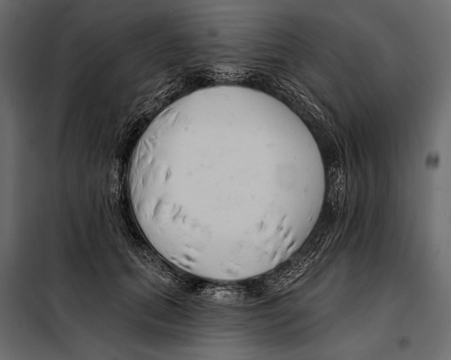 X0000098030655200804251416