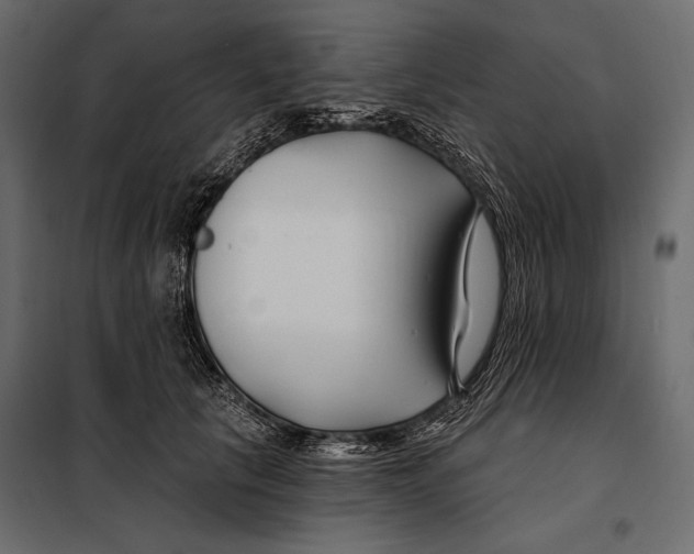 X0000098030657200804251416