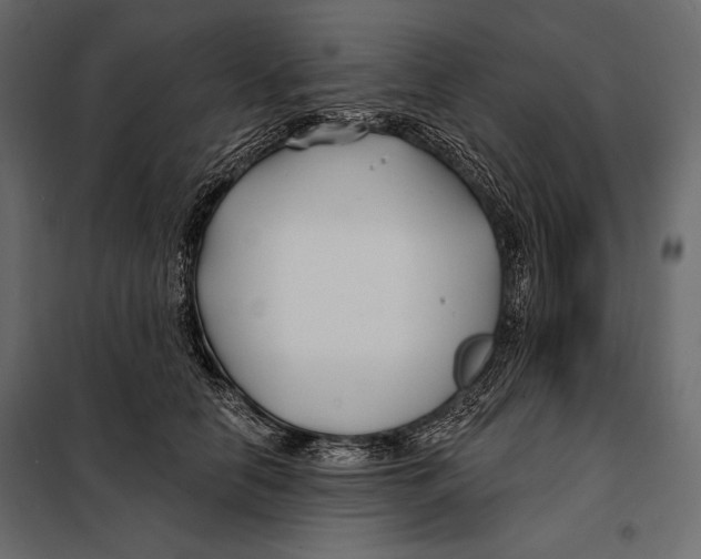 X0000098030658200804251416