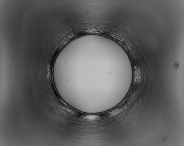 X0000098030659200804251416