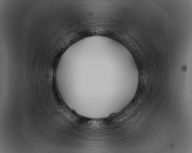 X0000098030660200804251416