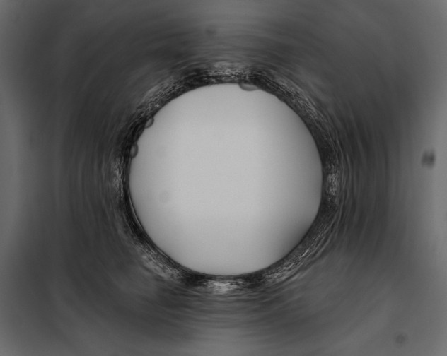 X0000098030662200804251416