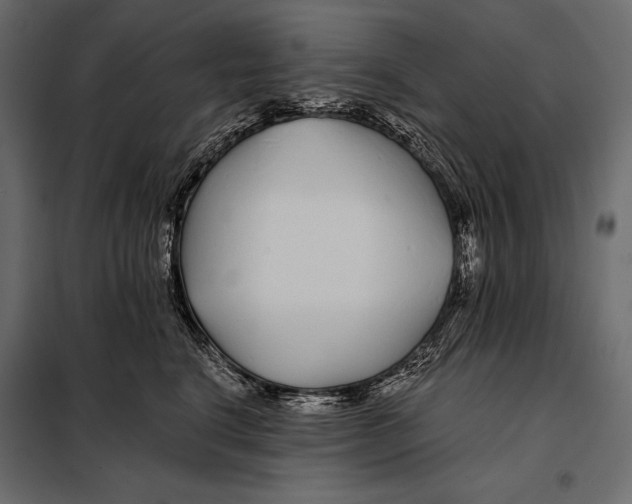 X0000098030664200804251416