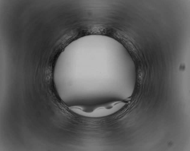 X0000098030665200804251416