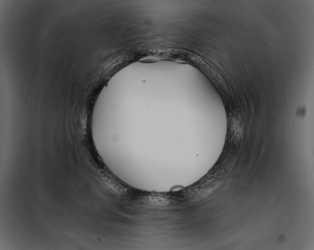 X0000098030668200804251416