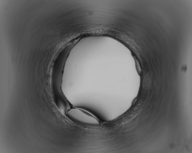 X0000098030673200804251416