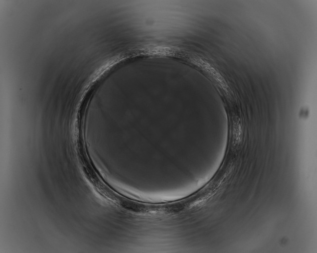 X0000098030674200804251416