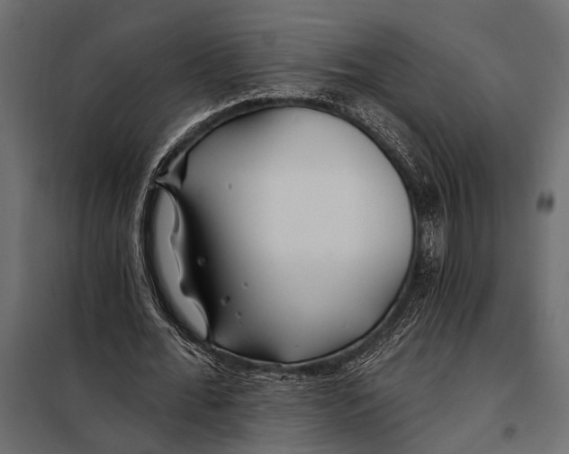 X0000098030676200804251415