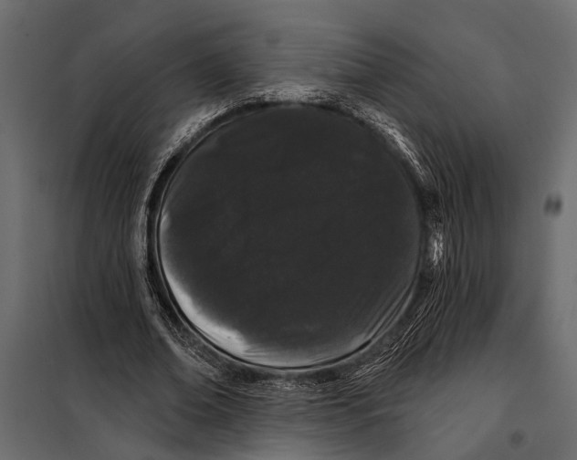 X0000098030678200804251415