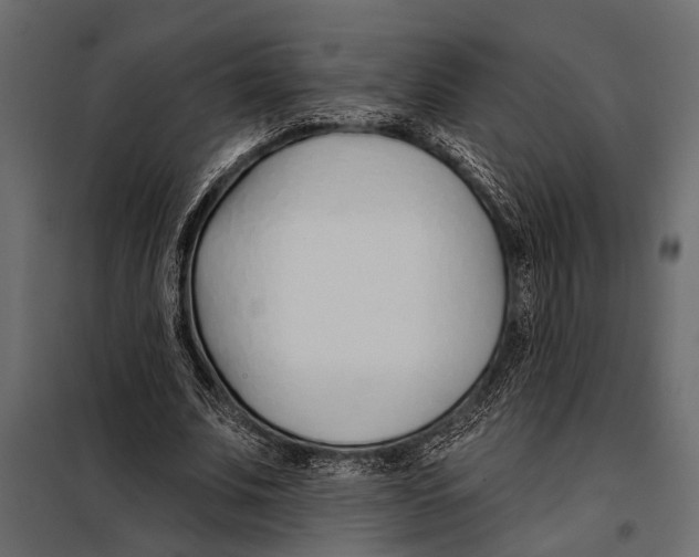 X0000098030679200804251415