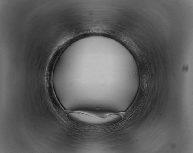 X0000098030680200804251415