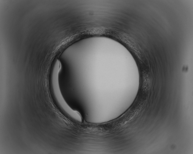 X0000098030681200804251415