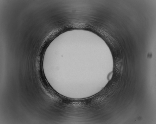 X0000098030686200804251415