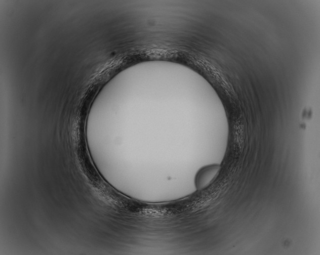 X0000098030690200804251415