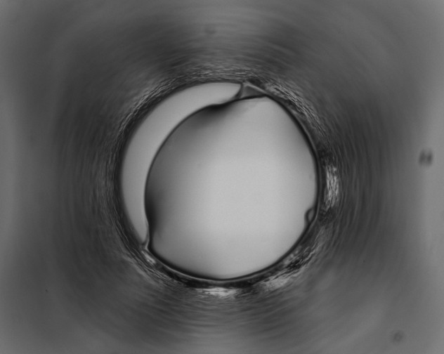 X0000098030691200804251415