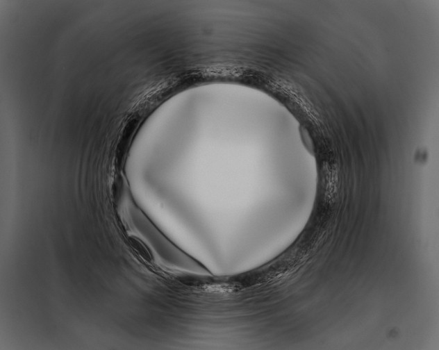 X0000098030692200804251415