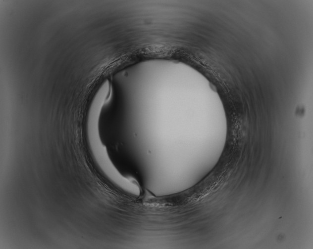 X0000098030693200804251415