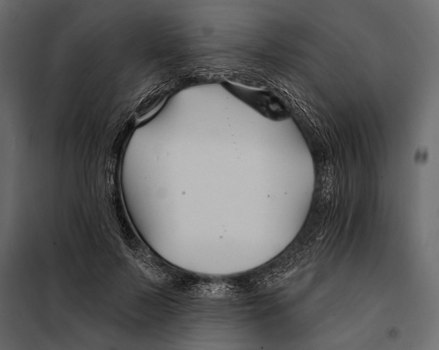 X0000098030695200804251415