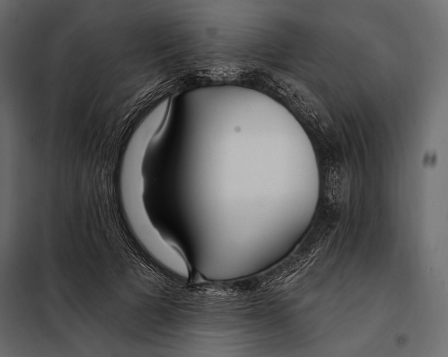 X0000098030697200804251415