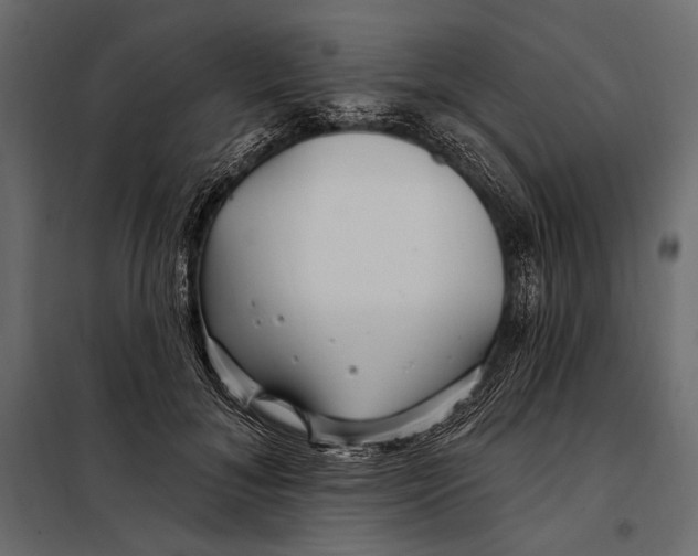 X0000098030700200804251415