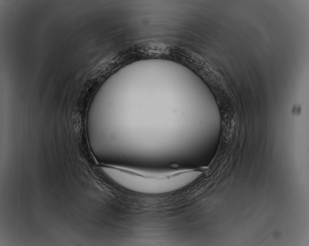 X0000098030704200804251415