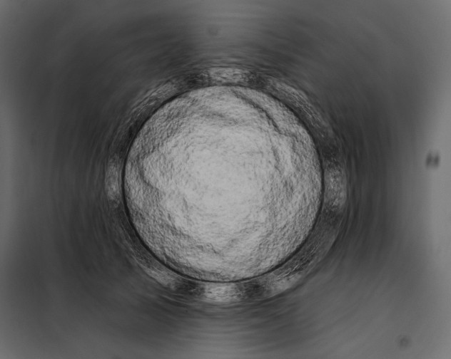 X0000098030705200804251415