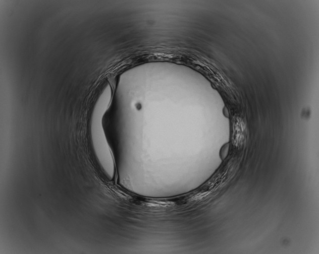 X0000098030707200804251415