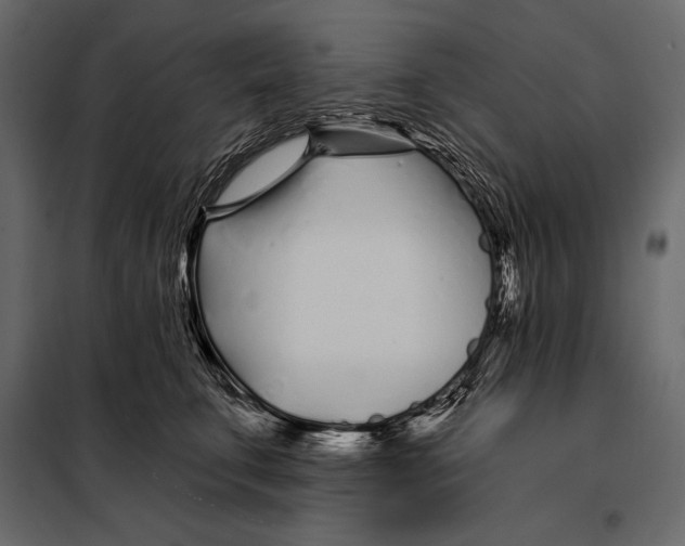 X0000098030711200804251415