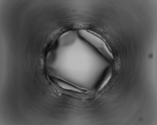 X0000098030716200804251415