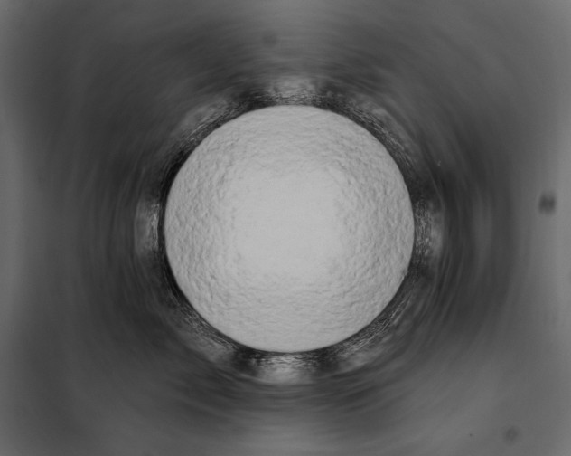 X0000098030717200804251415