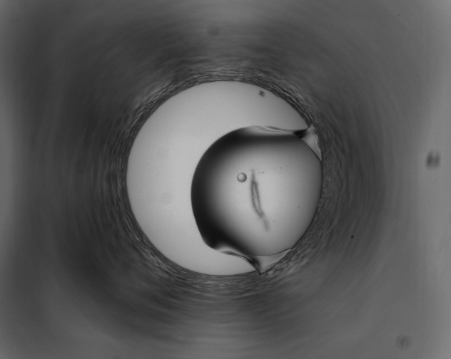 X0000098030720200804251415