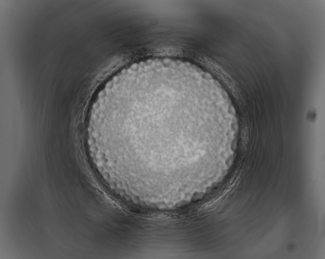 X0000098030721200804251414