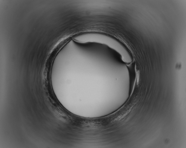 X0000098030723200804251414