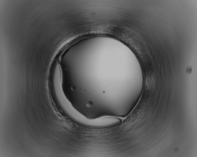 X0000098030724200804251414