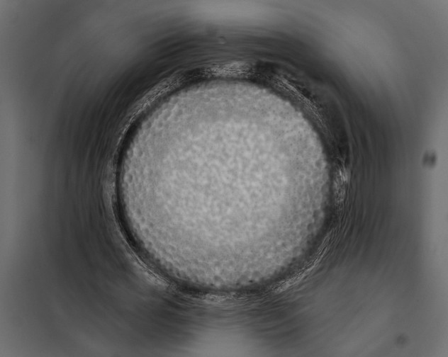 X0000098030725200804251414