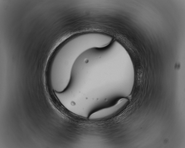 X0000098030726200804251414