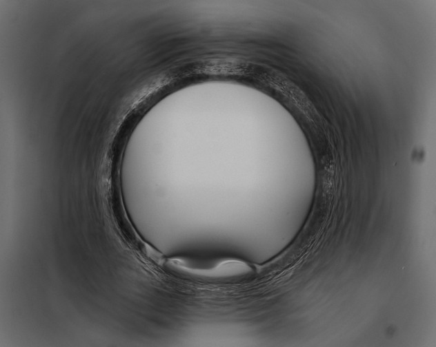 X0000098030727200804251414