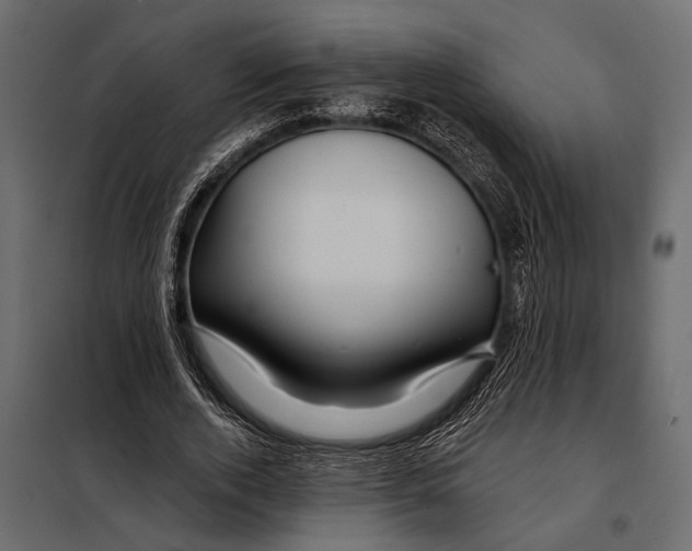 X0000098030728200804251414