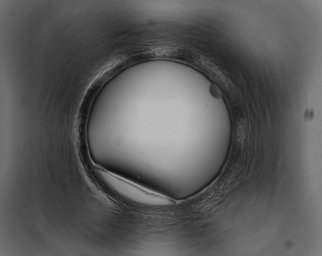 X0000098030730200804251414